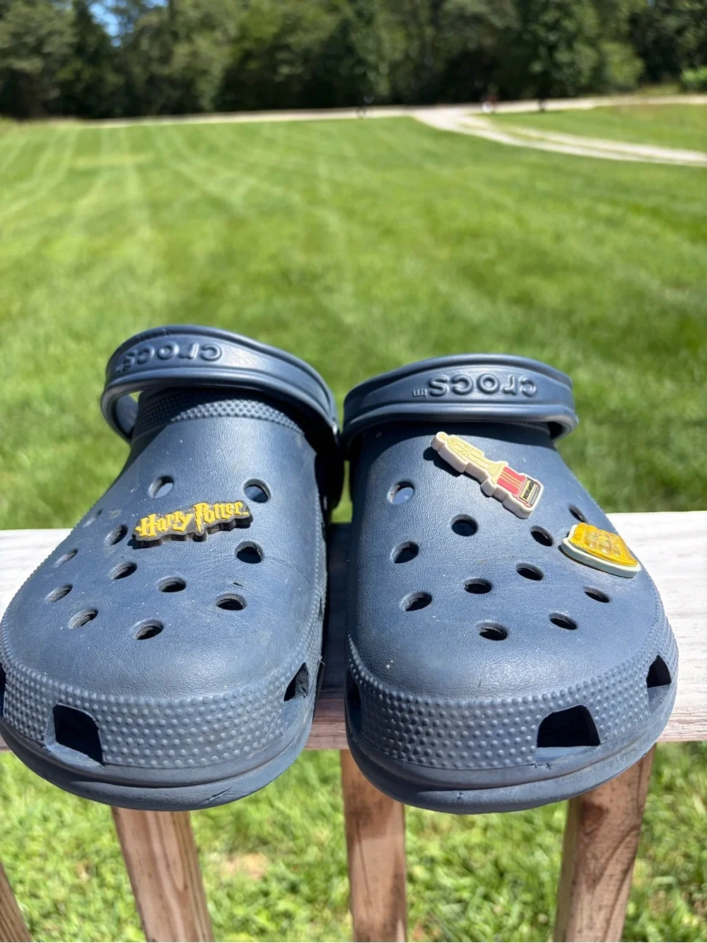 Crocs Blue Men’s Size 12 -Adult Classic Clogs With Charms The Office Harry